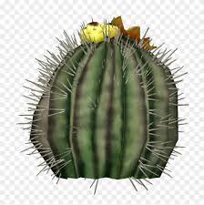 Monster hunter world wiki guide: Image Bauble Cactus Monster Hunter World Free Transparent Png Clipart Images Download