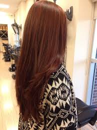 hairstyles reddish brown hair color colors with hairstyles