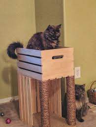 Diy Cat Scratcher Diy Cat Bed We Used Two Crates From Jo Ann Fabric And Crafts Two Dowels From Home Depot Some Mdf Fo Diy Katzenbett Katzenbett Katzen Bett