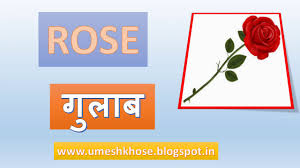 Marathi bible wallpapers psalm 23 1 6. Names Of Flowers In Marathi And English Pregnancy Test Kit