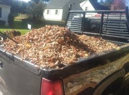 8 Best Landscapers in Fitchburg, MA