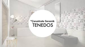 Banyo Seramik Fayans Doseme 2020 Banyo Seramik Dosemeler