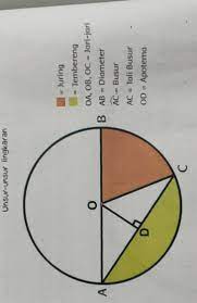 Kunci jawaban senang belajar matematika kelas 6 halaman 42. Kunci Jawaban Tema 3 Kelas 6 Halaman 48soal Pertanyaan 1 Bagaimana Hubungan Antara Titik Pusat Jari Brainly Co Id
