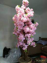 Camelia juga bisa ditanam sebagai tanaman hias yang berbunga dan sangat cocok buat hiasan taman dirumah. Jual Pohon Hias Bunga Sakura Plastik Hiasan Rumah Kantor Hotel Gedung Di Lapak Aneka Jaya Bukalapak