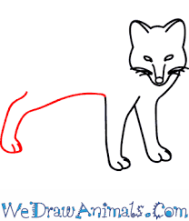Click here for step 4. How To Draw Arctic Fox Easy Learn How To Draw