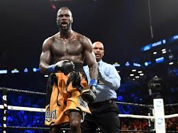 Wilder heavy weight (grey, navy, red). Bizarres Interview Deontay Wilder Droht Arger