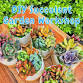Relax and Craft a Succulent Garden to Keep! event image