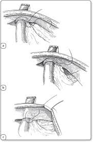 We did not find results for: Jaypeedigital Ebook Reader