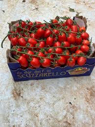 Image result for tomato Piccadilly