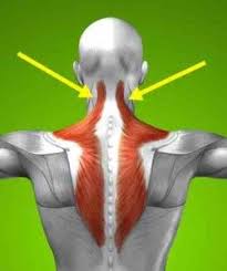 Pin On Health