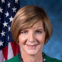 Nevada's 3rd Congressional District