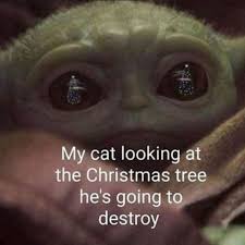 Fifteen Cool Winter Memes For The Hibernators Yoda Meme Funny Cat Memes Christmas Memes