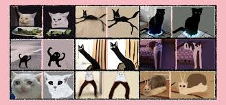 Cursed Cats Cursed Drawings Of Cats By Schnappisky On Deviantart About 2,588 results (0.07 seconds). cursed cats cursed drawings of cats