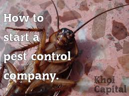 The original bond must be submitted to the board with the qualifying manager's original. Start A Pest Control Fumigation Company Small Business Ideas