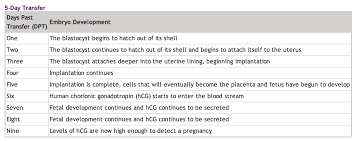 Bright Hcg Levels Chart After Ivf Transfer Ivf Beta Hcg