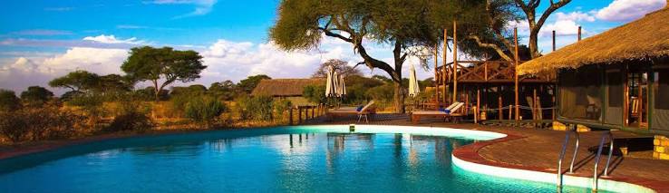 Tarangire Simba Lodge | Tanzania Safari | Safari in Tanzania | Tanzania Safari ToursTanzania Safari | Safari in Tanzania | Tanzania Safari Tours
