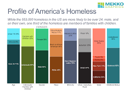 Profile Of Americas Homeless Mekko Graphics