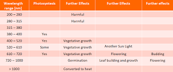 We did not find results for: Why Grow Lettuce In Your Vertical Farming Need Ecospeed Led Grow Lights By Carter Xie