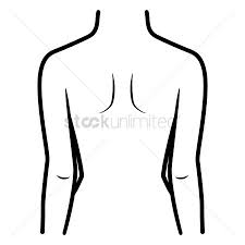 An ideal body outline should be easy to use and understand. Free Female Body Outline Stock Vectors Stockunlimited