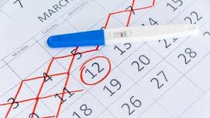 Bagi anda yang memiliki siklus menstruasi 28 hari, menentukan masa subur sangat mudah, yakni sekitar 14 hari setelah hari terakhir haid. Bunda Ingin Cepat Atau Menunda Hamil Coba Pakai Kalkulator Masa Subur Yuk
