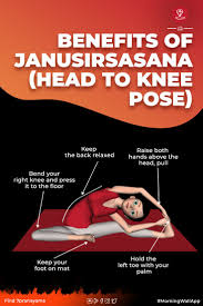 Janusirsasana Head To Knee Pose Steps Benefits Learn Yoga Poses Wellness Yoga Yoga Facts