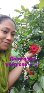 Is it stealing if a wife takes money from her husband's wallet without his  knowledge or permission?