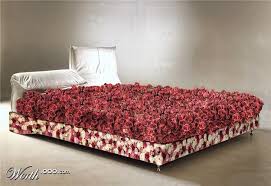 life is a bed of roses maison moschino milan maison moschino milan a hotel in milan based on fa figurative language lessons english idioms good idioms