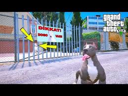 Terminator Kardesi Beyaz Pitbull Mike Ile Tanisiyor Gta 5 Youtube