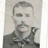 Peter Edmond Timmins (1862–1937)