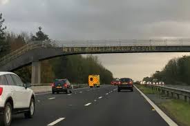 Image result for give peas a chance m25