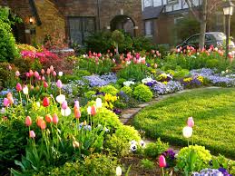 Tulip Time 2015 Spring Landscaping Beautiful Flowers Garden Small Flower Gardens