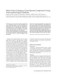 Pdf Heart Valve Collagens Cross Species Comparison Using Immunohistological Methods Jacinta F White Academia Edu