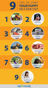 Starting Your Puppy On A Raw Diet Dogs Naturally Magazine