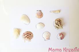 In köln dagegen kann man sich direkt beim friseur testen lassen. Basteln Und Spielen Mit Muscheln Mama Kreativ