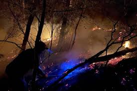 We did not find results for: Update Osoyoos Wildfire Believed To Be Human Caused Kelowna Capital News