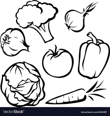 Black And White Outline Orange Clip Art Vegetable Black Outline Vector Image On Vectorstock Vegetable Drawing Black And White Drawing Clip Art Borders