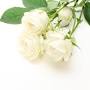 Profile Picture of Tribute to Maria Lennox, 1953 - 2023 (@muchloved.com) on Google