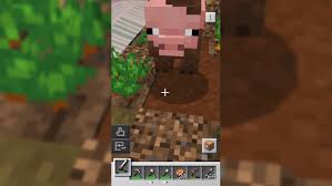 This tutorial will show you how to create a pig robot out of paper. Minecraft Earth Challenge 8x8 Minecraft