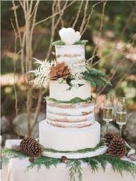 30 Beautiful Simple Rustic Winter Wedding Cakes Ideas Best Inspiration Winter Wedding Cake Christmas Wedding Cakes Rustic Winter Wedding