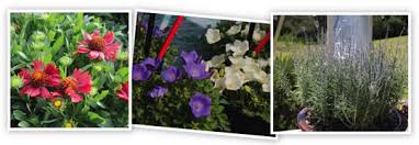 Deeply shaded locations will not usually work as the light cannot penetrate. But Wait There S More