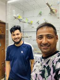 Some new stock birds to play with