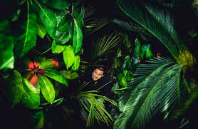 Odyssey Sensory Maze | Official Queenstown Website