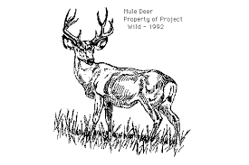 Download whitetail buck site png image for free. Deer Buck Clipart Free Clip Art Images Image 0 2 Clipartix
