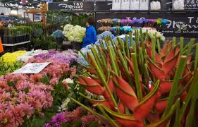 Sydney flowers of one of sydney 's most highly rated florists. Sydney Markets Insider S Guide To Visiting The Sydney Flower Market What You Really Need To Know