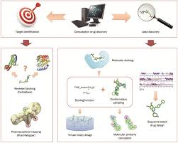 The enrichment factor is important for the estimation of the optimal fraction of a docked and ranked library of compounds with. Computational Drug Discovery Acta Pharmacologica Sinica