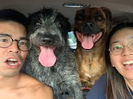 Hello, my partner and I are looking for house sitting gigs in Yellowknife  for May. We have house sat a bunch in Yellowknife and have many great  references. We have both been