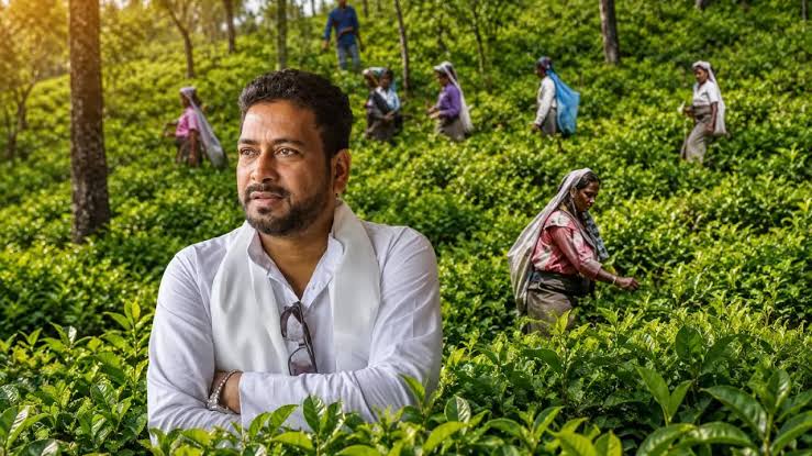 Bengal Tourism Minister Seeks Probe Into Alleged Tea Garden Land Transactions