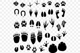 Free download 62 best quality free animal drawing to print at getdrawings. Footprint Animal Track Clip Art Png 550x546px Footprint Animal Animal Track Black And White Drawing Download