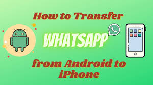 Contacts will back up to google contacts. Easy Transfer Whatsapp From Android To Iphone No Google Drive Youtube