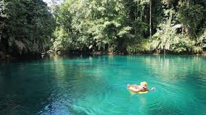 We did not find results for: Salah Satunya Danau Labuhan Cermin Di Kalimantan Timur Berikut 7 Danau Berwarna Biru Di Indonesia Tribun Kaltim